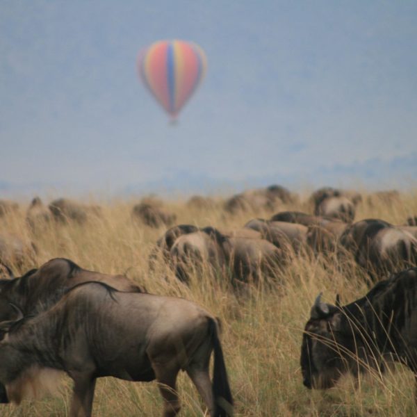 Masai Mara