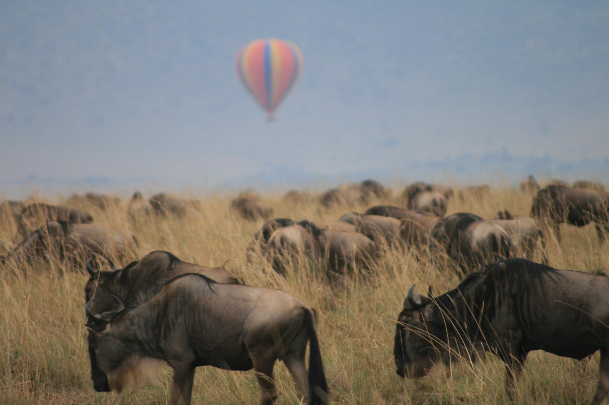 Masai Mara